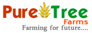 Pure Tree Farms Header Logo